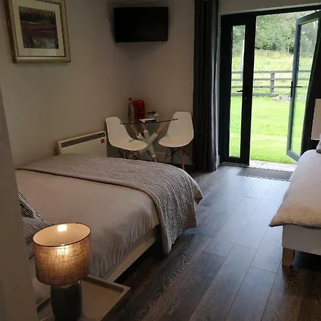 Tudor Lodge Guest Accommodation Bunratty Exterior photo